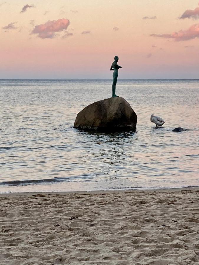 Strandhaus Manatee Mit Sauna Und Kamin Sellin  Екстер'єр фото